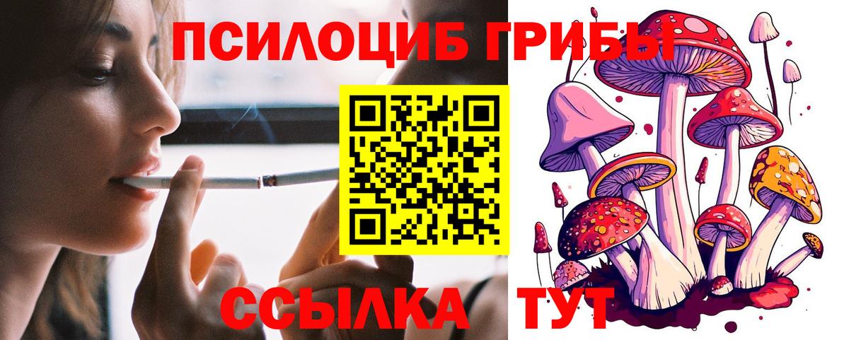 Артёмовский  где продают наркотики  Галлюциногенные грибы ЛСД  Вход с VPN  Галлюциногенные грибы прущие грибы 