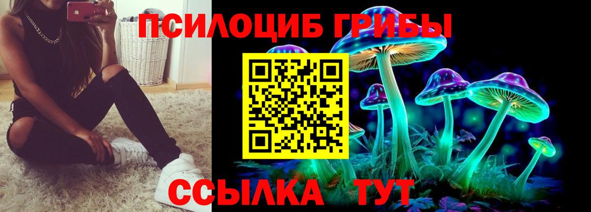 Псилоцибиновые грибы MAGIC MUSHROOMS Артёмовский